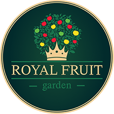 Головна royal 3 - Головна